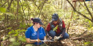 archeologists documenting finding in the woods