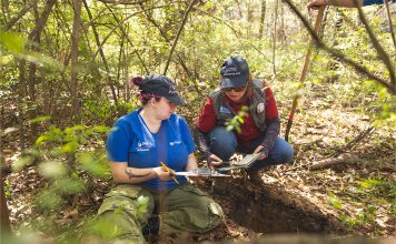 archeologists documenting finding in the woods