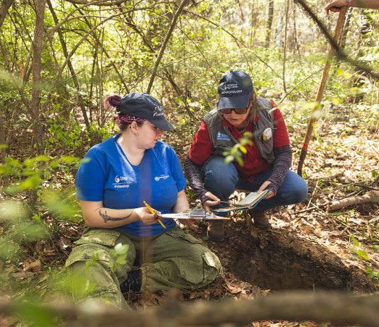 archeologists documenting finding in the woods