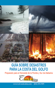 Disaster Guide cover