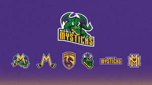 Mysticks Hockey team logos