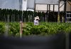 Las medidas extremas que toman los trabajadores agrícultores de Florida para seguir laborando bajo un calor abrasador ~ The dire lengths Florida farmworkers go to keep working in ‘scorching’ heat