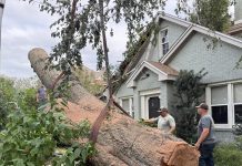El huracán Isaías deja cuatro muertos y daños de cuantía indeterminada ~ Hurricane Isaias claims four lives and undetermined damages Fallen tree being removed from a home following Hurricane Isaias