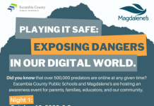 online safety workshop flyer